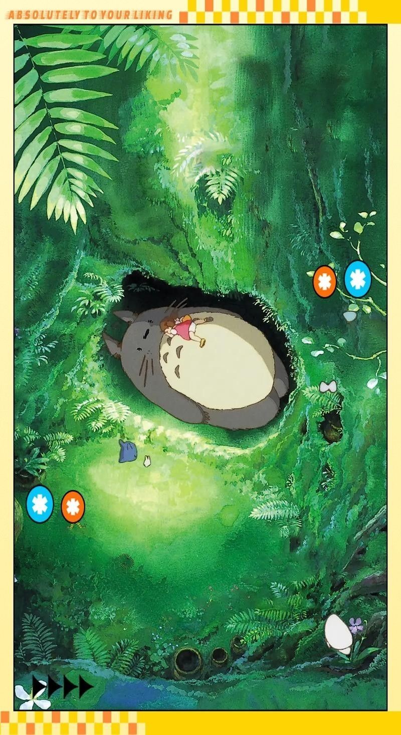 龍貓需要多久洗一次澡？