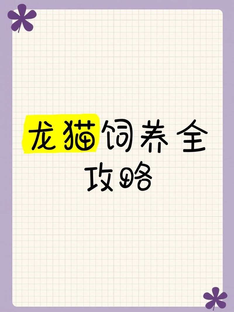 龍貓需要多久洗一次澡？