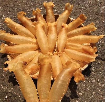 濟南金龍魚銀龍魚回收，濟南金龍魚銀龍魚回收市場價格