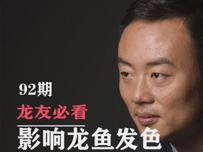龍魚專用燈對水質的影響：如何選擇適合龍魚的燈光