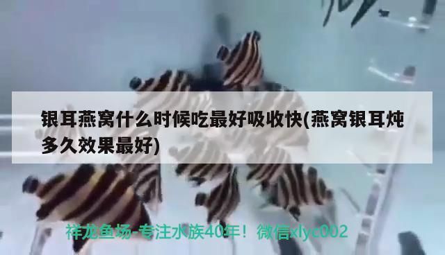 自制魚缸的制作方法圖解視頻 自制魚缸的制作方法圖解視頻教程