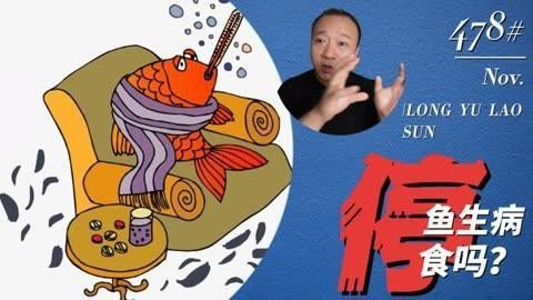 紅龍魚檢疫期間需要停食嗎？