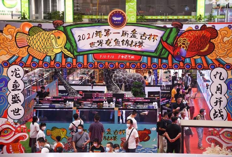 2023廣州龍魚比賽