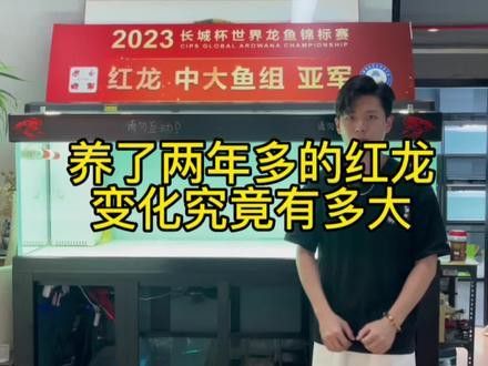 2023廣州龍魚比賽