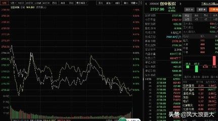金龍魚歷史的股價（金龍魚市值縮水原因分析金龍魚市值縮水原因分析）