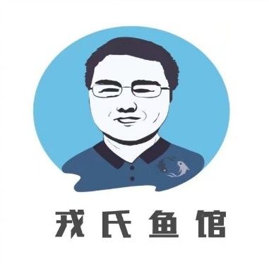 合肥龍魚市場怎么樣啊