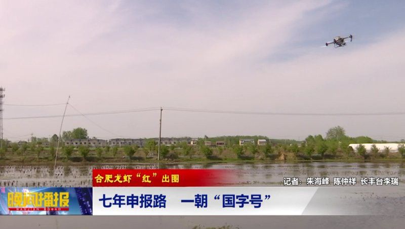 合肥龍魚市場怎么樣啊