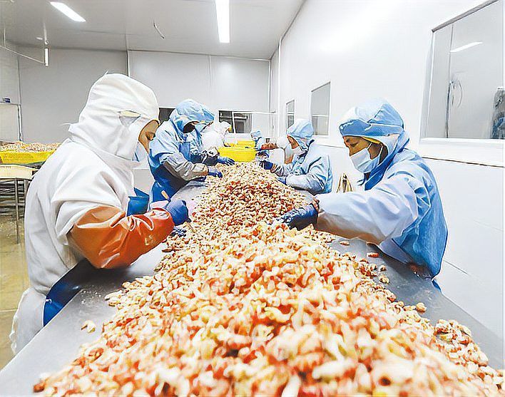 合肥龍魚市場怎么樣啊