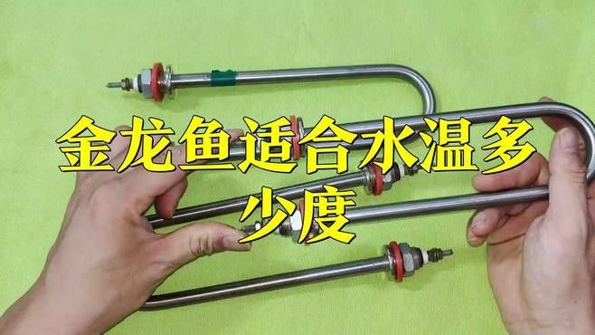 金龍魚需要加溫嗎