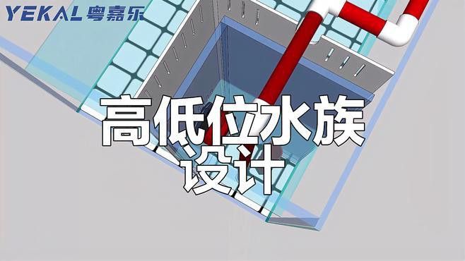 如何設(shè)置龍魚缸的雙水位？