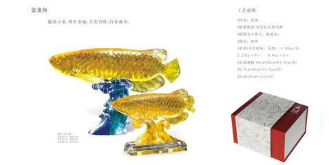 金龍魚圖案設計理念怎么寫的（金龍魚圖案設計理念）