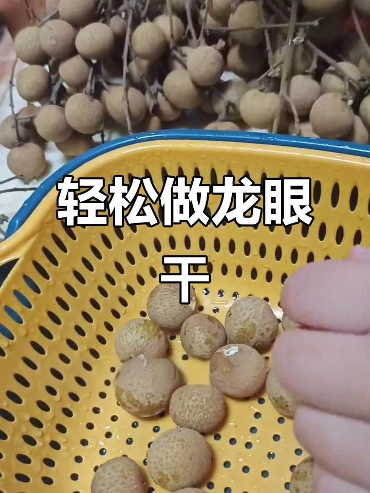 如何制作龍眼干