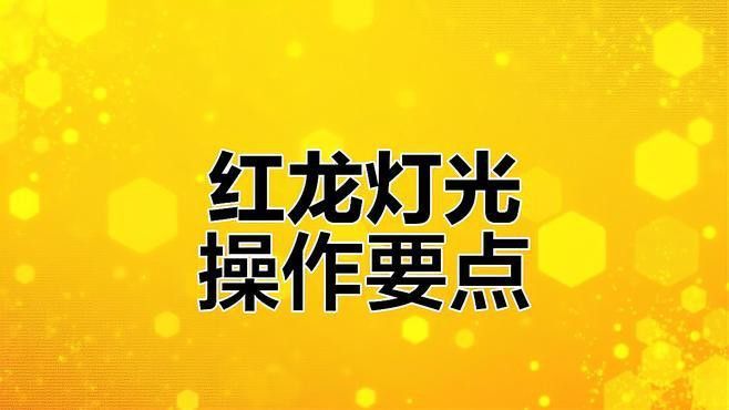 紅龍魚最佳拍攝時間是什么時候？