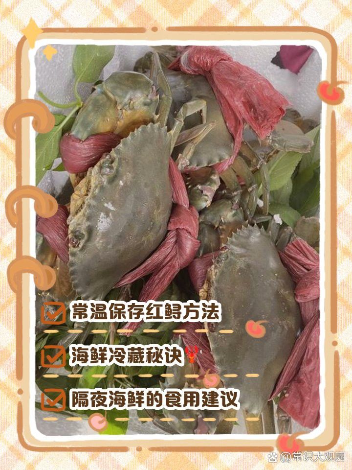 生態鱘龍魚在袋子里能放幾天