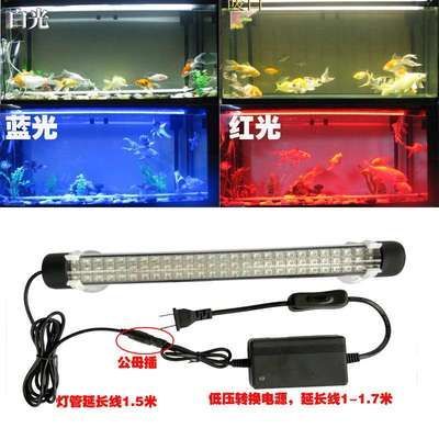 龍魚用燈技巧：養殖龍魚時使用燈的技巧