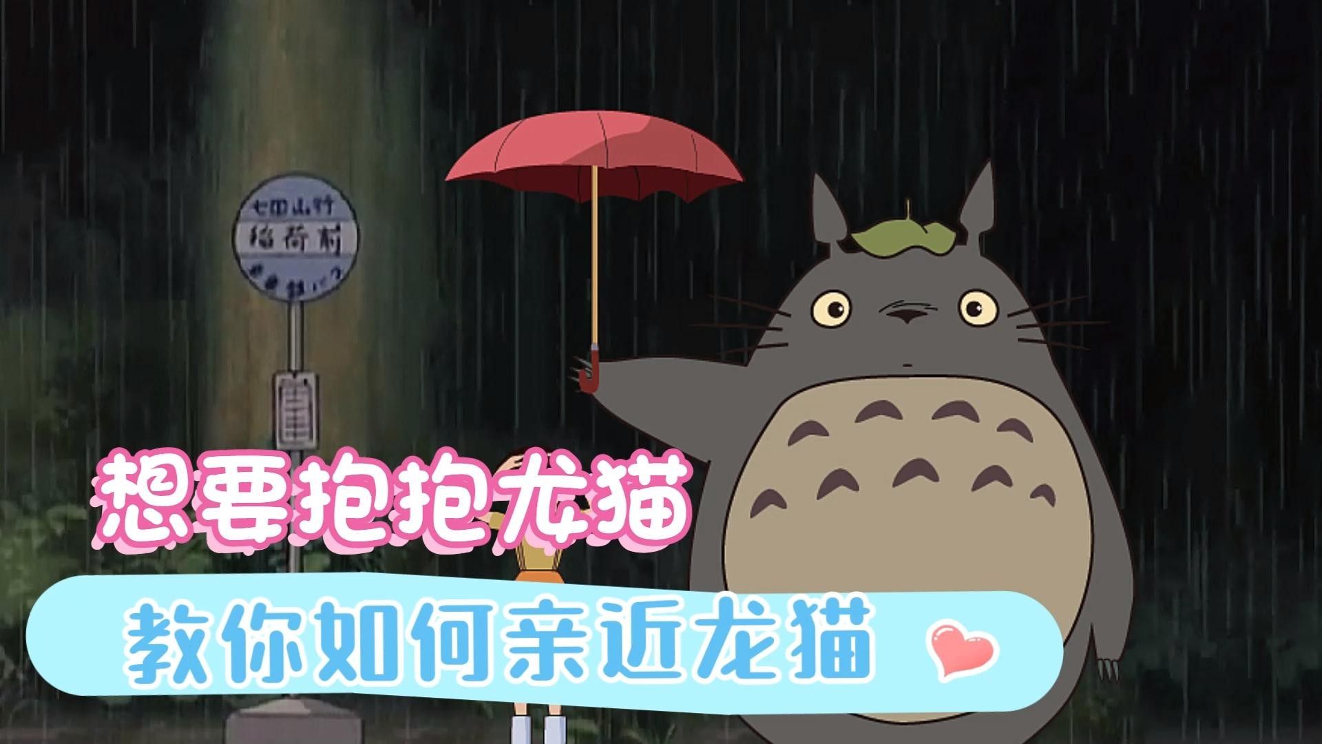 龍貓如何快速適應新主人？