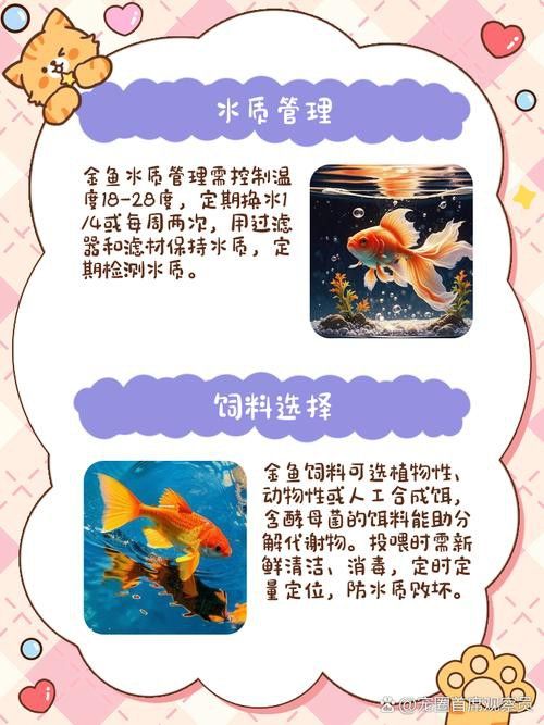 小火龍魚可以與金魚混養嗎圖片