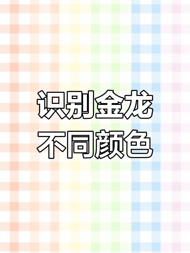 如何區分藍底金龍和金龍？