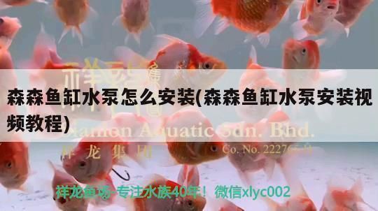森森魚缸上水配件安裝（如何正確使用魚缸加熱器魚缸水質檢測方法介紹）
