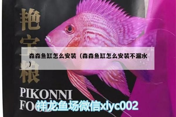 森森魚缸上水配件安裝（如何正確使用魚缸加熱器魚缸水質檢測方法介紹）
