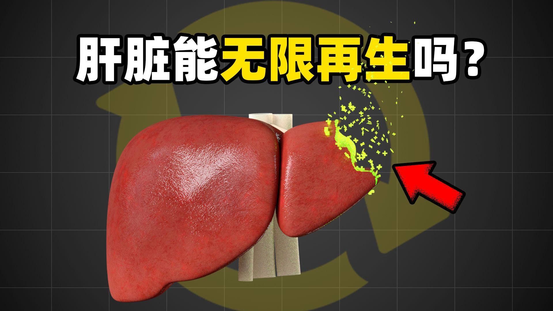 哪些組織或器官可以再生？
