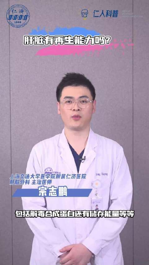 哪些組織或器官可以再生？