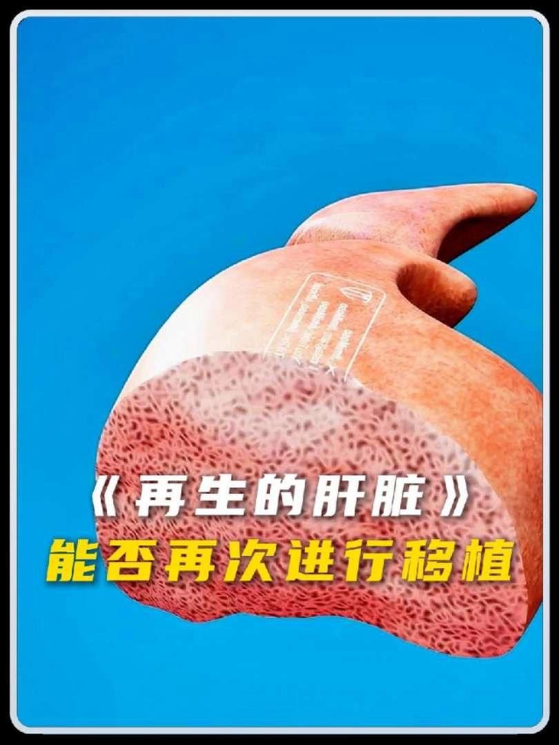 哪些組織或器官可以再生？