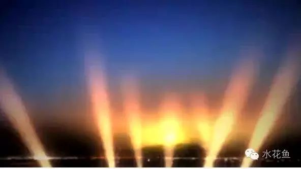 LED燈對魚色彩的影響，led燈對魚的影響