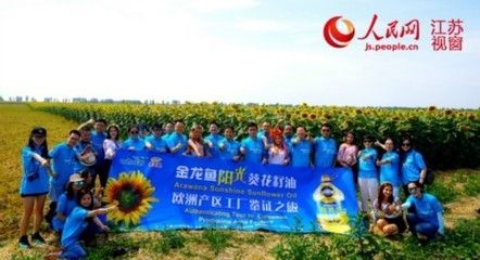 金龍魚起源地是哪里：金龍魚的起源地和原產地