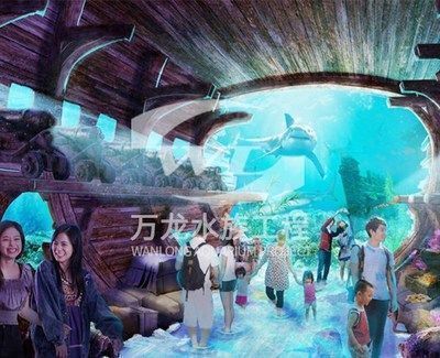 龍魚和烏魚哪個刺少些