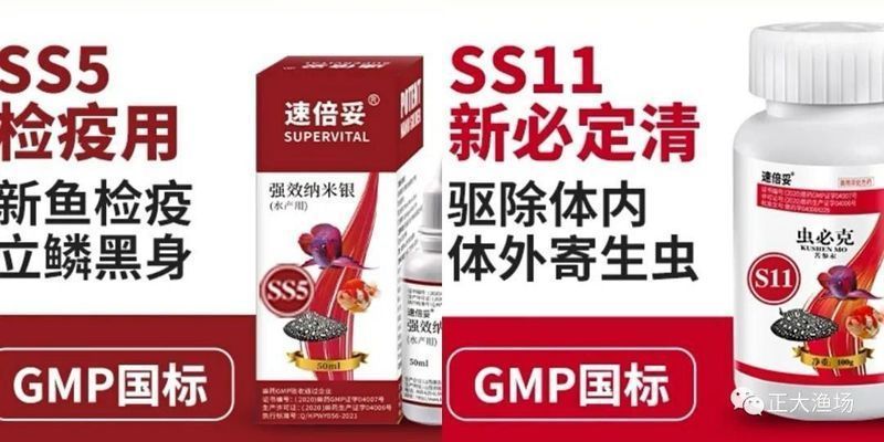 龍魚體形多大定型最好:關于龍魚體形多大定型最好的查詢當前無法直接提供具體信息 龍魚百科 第2張 龍魚體形多大定型最好:關于龍魚體形多大定型最好的查詢當前無法直接提供具體信息 龍魚體形多大定型最好:關于龍魚體形多大定型最好的查詢當前無法直接提供具體信息 龍魚百科 第2張