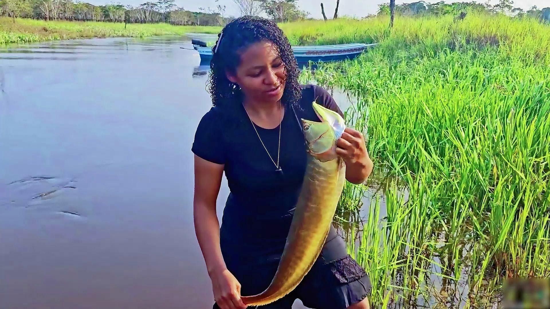 銀龍魚的價格范圍是多少？