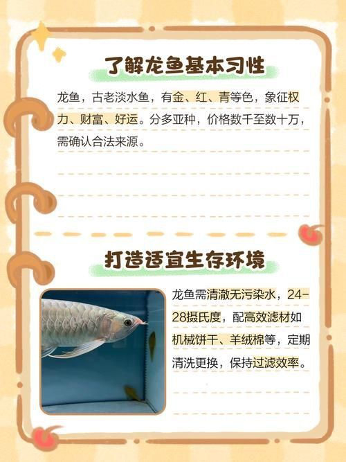 龍魚養幾條有講究嗎圖片