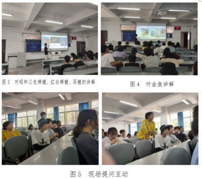 龍魚常見品種飼養與現狀研究報告：龍魚常見品種飼養與現狀研究報告龍魚常見品種飼養與現狀研究報告