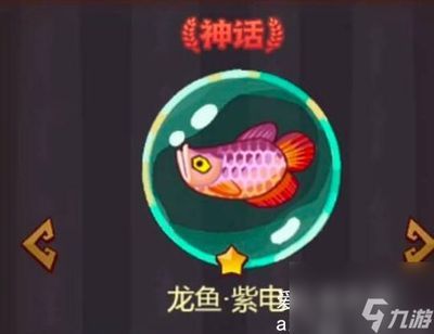 龍魚之王：“龍魚之王”角色設定解析龍魚之王角色設定解析