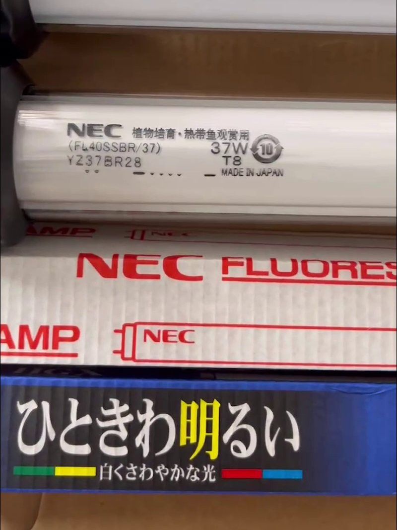 nec龍魚燈高仿正品對比