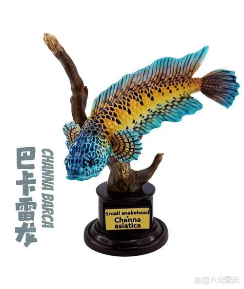 雷龍魚最漂亮排行榜圖片