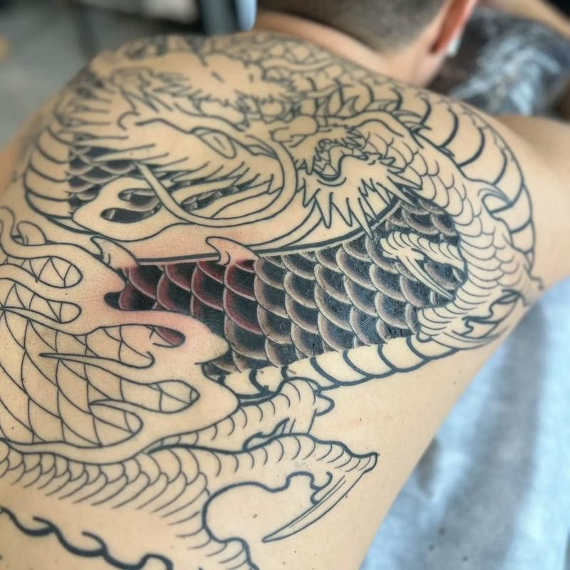 金龍魚掉鱗片多久能恢復正常