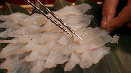 龍魚怎么叫過背魚：在挑選過背金龍魚時，龍魚怎么叫過背魚
