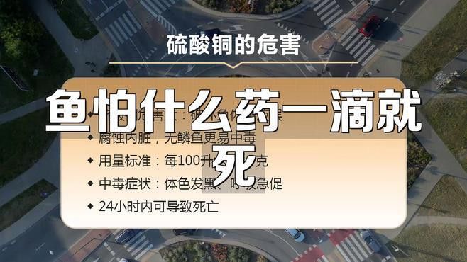 這些藥物對龍魚有副作用嗎？