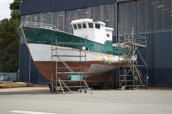 紅龍魚的養殖方法視頻教程下載（紅龍魚的養殖方法視頻教程下載）