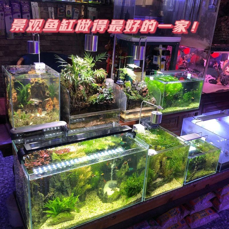 太原個人轉讓紅龍魚出售店鋪