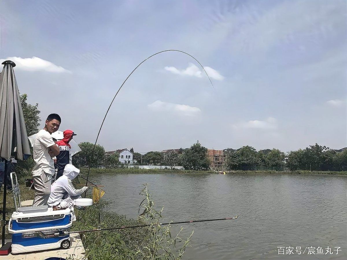 雷龍魚咬鉤后如何正確刺魚？