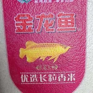 紅龍魚尾巴邊緣發(fā)白怎么回事(紅龍魚尾巴邊緣發(fā)白可能是由多種因素導(dǎo)致的) 龍魚百科 第2張 紅龍魚尾巴邊緣發(fā)白怎么回事(紅龍魚尾巴邊緣發(fā)白可能是由多種因素導(dǎo)致的) 紅龍魚尾巴邊緣發(fā)白怎么回事(紅龍魚尾巴邊緣發(fā)白可能是由多種因素導(dǎo)致的) 龍魚百科 第2張