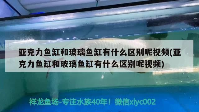 亞克力魚缸和玻璃魚缸有什么區別呢視頻(亞克力魚缸和玻璃魚缸有什么區別呢視頻)