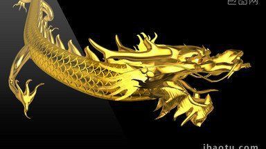 金龍圖片素材