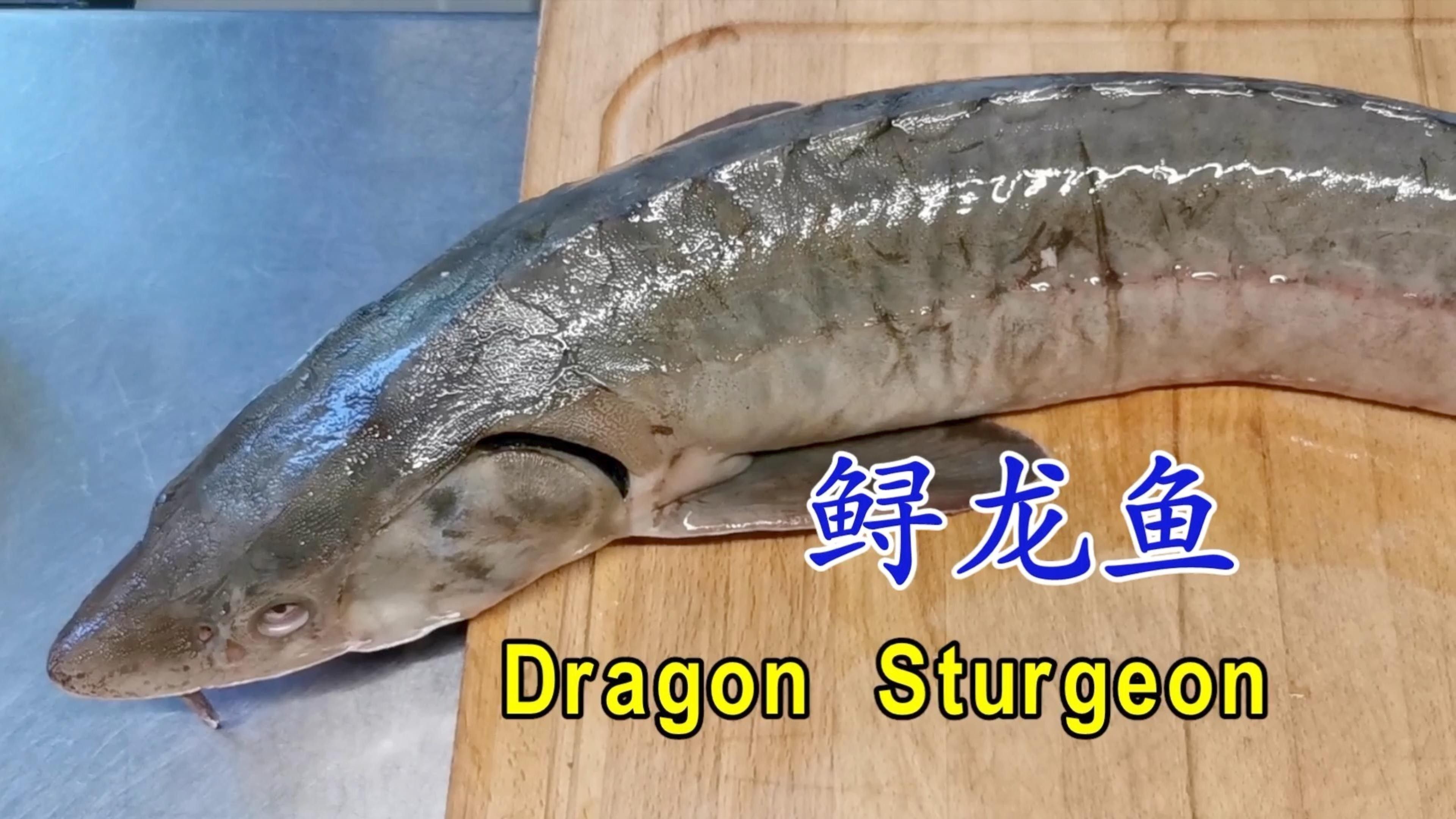 龍魚怎么做？