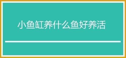 家庭魚缸養(yǎng)什么魚好活，家庭魚缸養(yǎng)殖