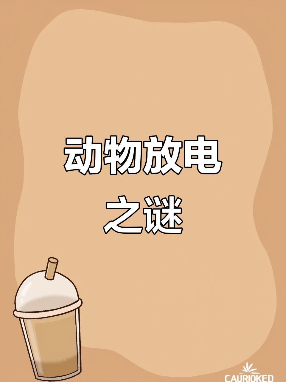 鰻魚和電鰻怎么區分