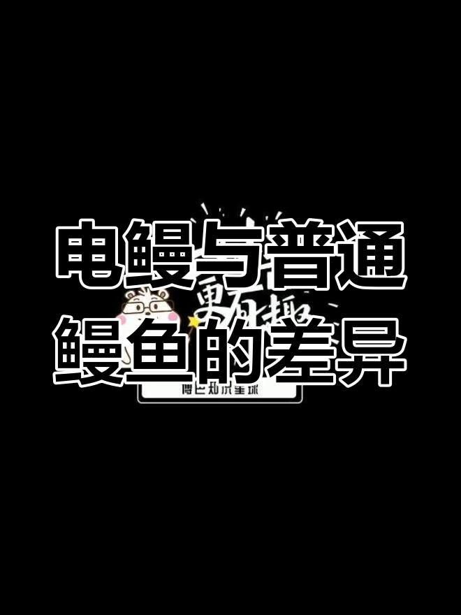 鰻魚和電鰻怎么區分